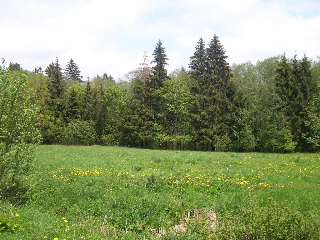 Apartmán Dvorečná Loučovice Exteriér fotografie