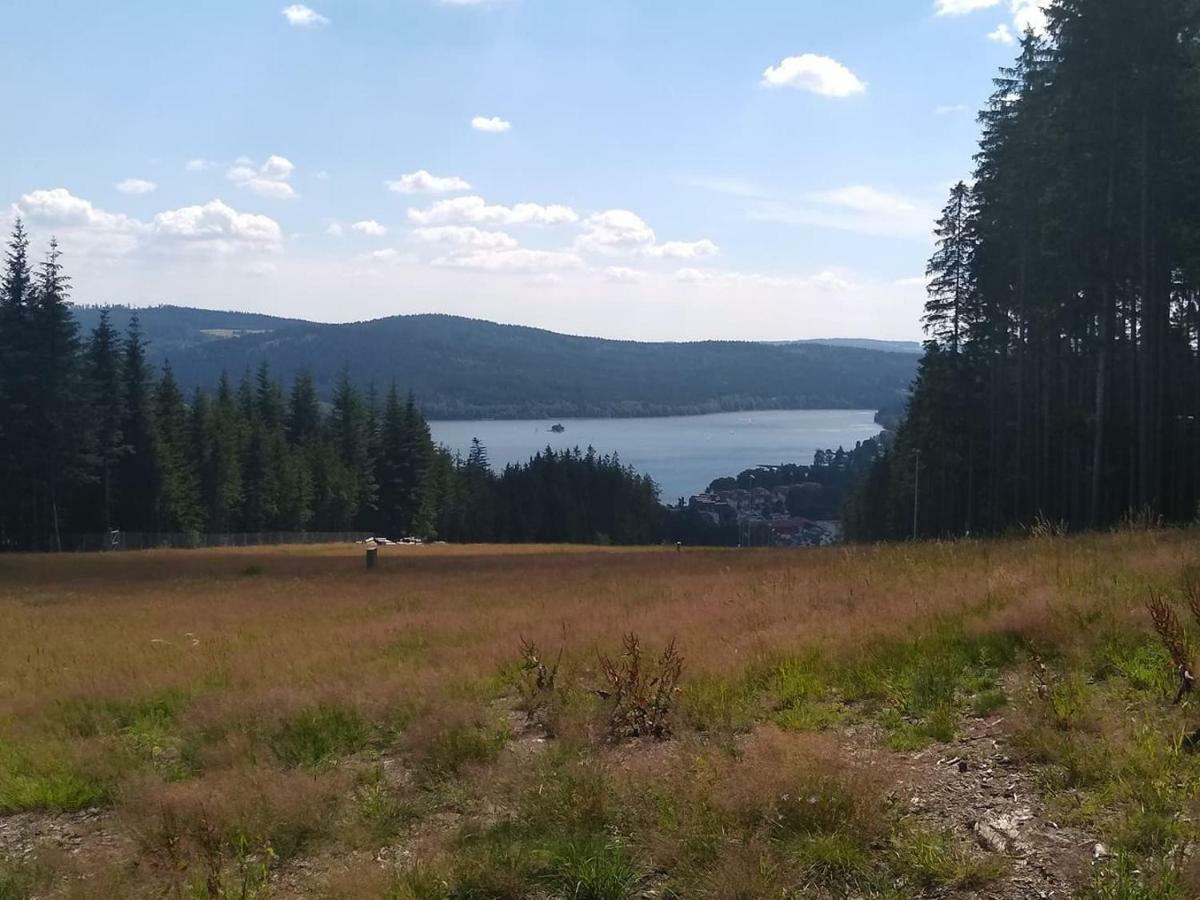 Apartmán Dvorečná Loučovice Exteriér fotografie