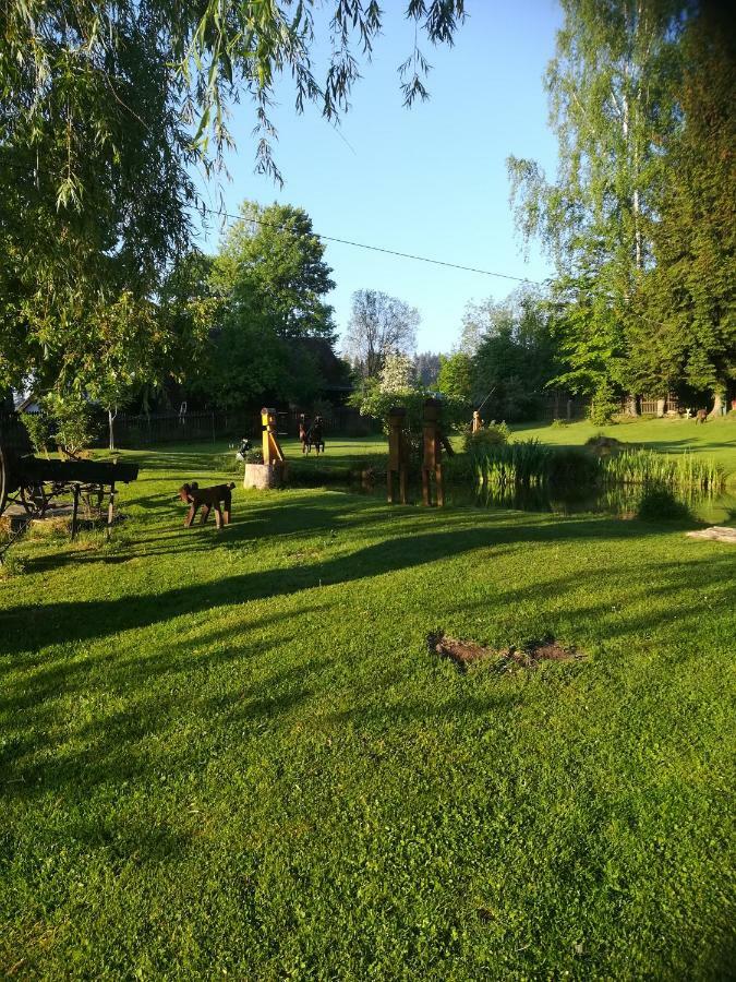 Apartmán Dvorečná Loučovice Exteriér fotografie